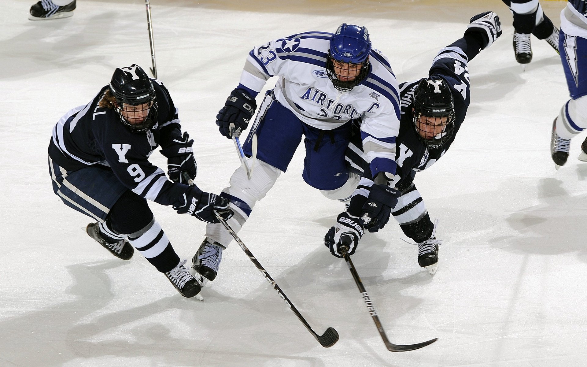 一个不抢断的盖帽手，如何用医学防守统治焦点战？
